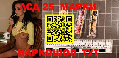 гидропоника Пенза