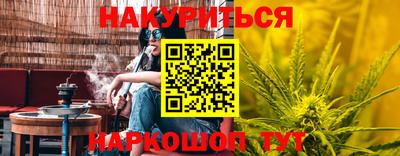 гидропоника Пенза