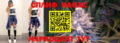 гидропоника Пенза