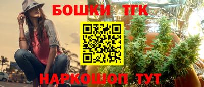 гидропоника Пенза