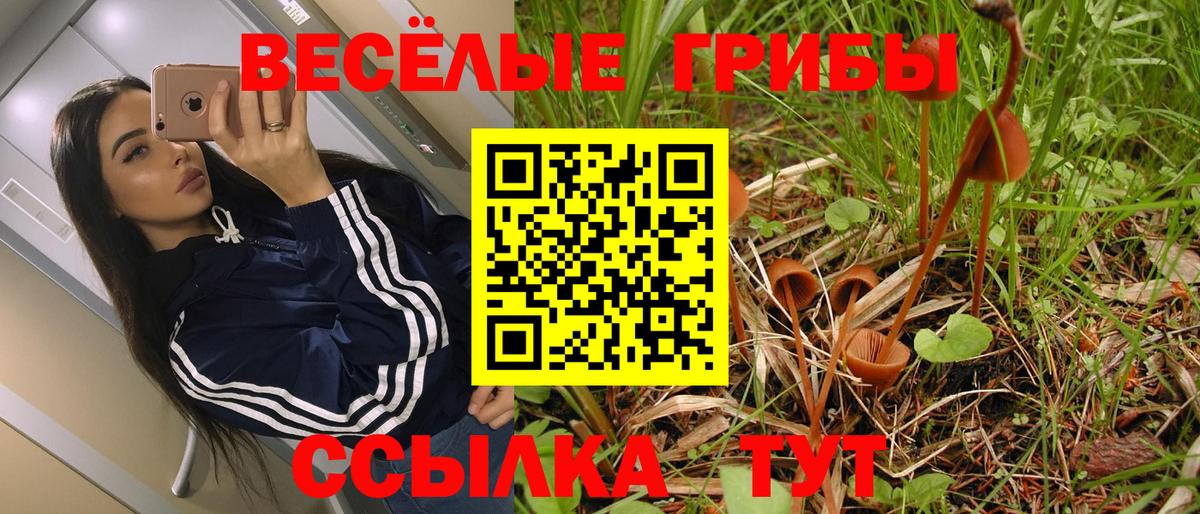 Кокаин  ГАШ  Экстази  Тимашёвск  МЕФ   Вход с VPN  Гашиш 